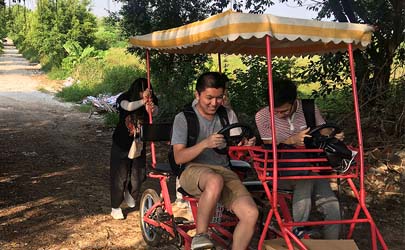 今夏,陽光明媚,遠離喧囂城市——基準設計(佛山)月度活動